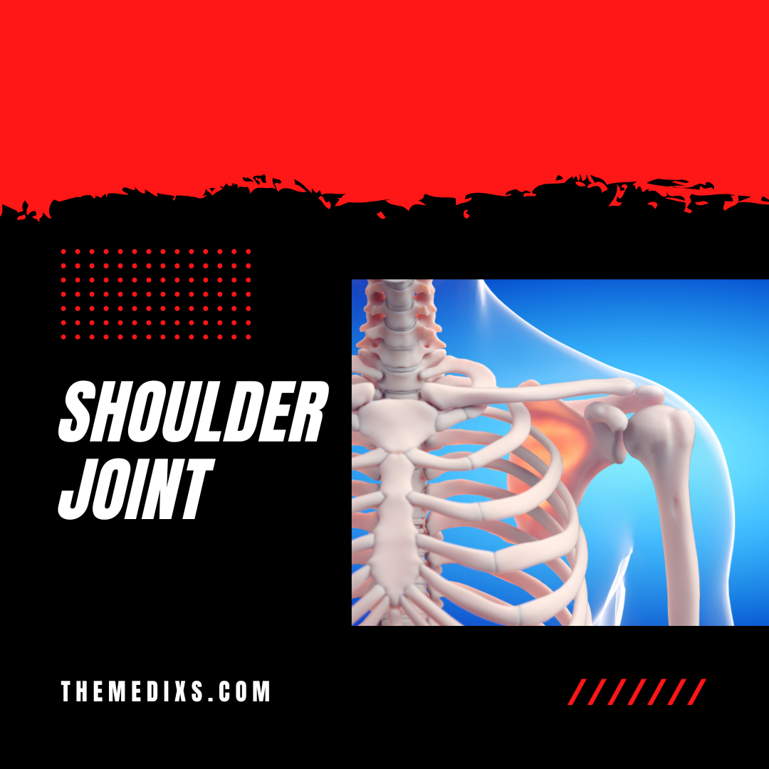 Shoulder Joint – A Brief Overview